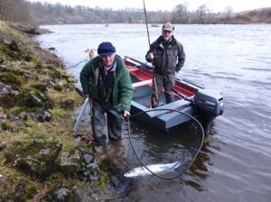 Image courtesy of Bob White