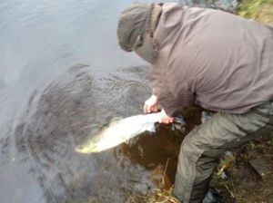 Dunkeld House Fishing