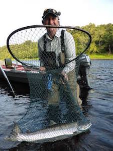 Malcolm Anderson Caledonia Fly Company