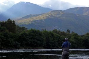 photograph courtesy of Peake Media