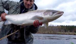 12439095_10154012196135242_4156350695530733938_n