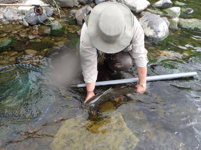 18921990_1414998748539367_1258903621603539124_n