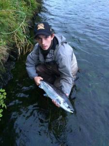 20840874_2052108021677652_1756641874240883592_n