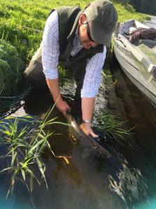 21682541_501519663528945_439399358_o