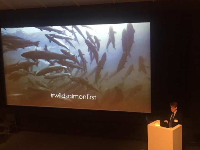 55790024_2217857881586779_2923169469100457984_n-1